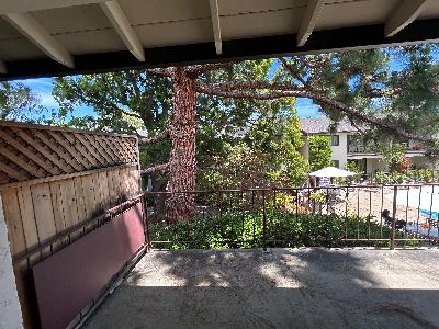 2 bed / 1 bath in Mountain View, available 10/26 2