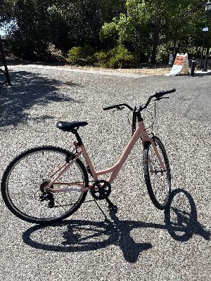 Selling bike with lock @ $210 2