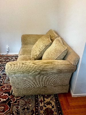 FREE Loveseat 2
