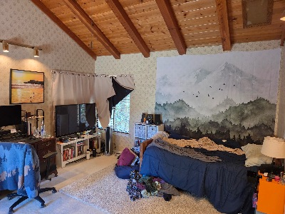 ISO New Housemate - 13.75' x 17.5' Bedroom w/ Private Bath - Los Altos 1