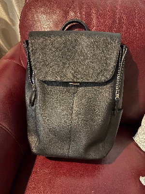 Samsonite Executive Leather Backpack (Women’s) — Brand New, Never Used! 1