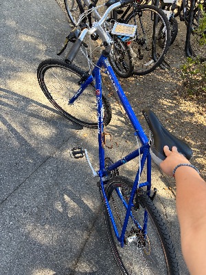 Bianchi Urbano Bike – $120 2