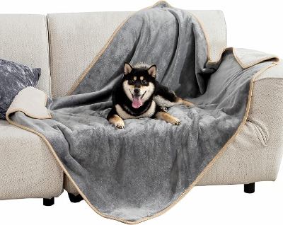 Dog Gear and Goodies (Some Free) 4