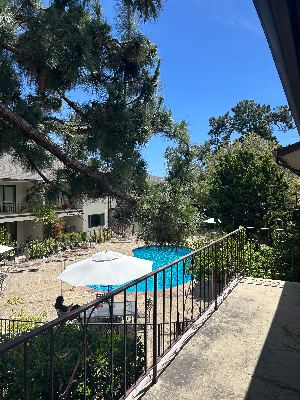 2 bed / 1 bath in Mountain View, available 10/26 1