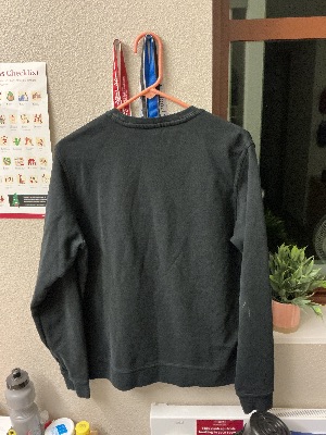 Nike sweat shirt 2