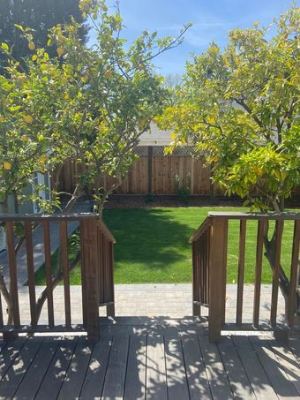 5 mins from Stanford campus, bedroom suite with private full bath, available 9/2 4