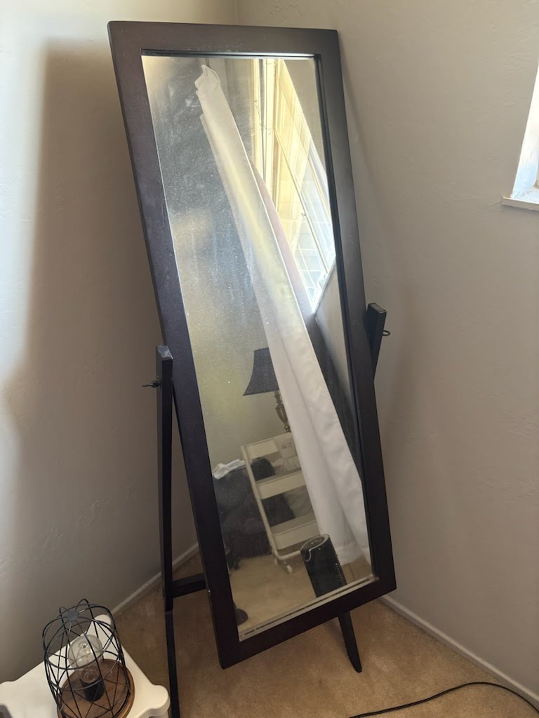 Free lamps, desk chair, mirror, etc. 1