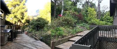 Room in spacious Ladera postdoc house, only 10 minutes to campus, available now! 2