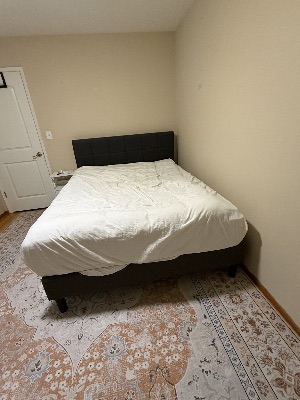 Queen Bed + Mattress, Standing Desk, Office Chair & Nightstand: $300 for all 2